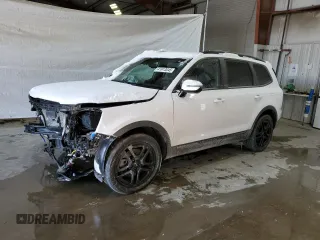 2024 Kia Telluride SX Prestige X-Line with VIN 5XYP5DGC3RG483384, listed as a Copart auction lot 41913045 with 13,462 mi miles and Salvage title. Bid and sale history available at DreamBid. Image 1.