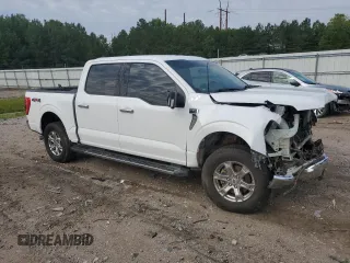2021 Ford F-150 XL with VIN 1FTFW1E58MFB02149, listed as a Copart auction lot 60213045 with 117,142 mi miles and Salvage title. Bid and sale history available at DreamBid. Image 4.