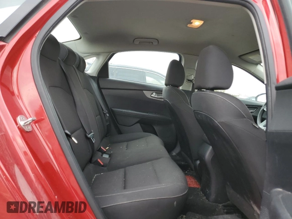 2019 Kia Forte LXS with VIN 3KPF24AD1KE008633, listed as a Copart auction lot 53113665 with 87,903 mi miles and Clean Title. Bid and sale history available at carsss.com. Image 10.