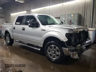 2013 Ford F-150 XL with VIN 1FTFW1EF1DFD38831, listed as a Copart auction lot 46692585 with 207,959 mi miles and Salvage Title. Bid and sale history available at DreamBid. Image 4.