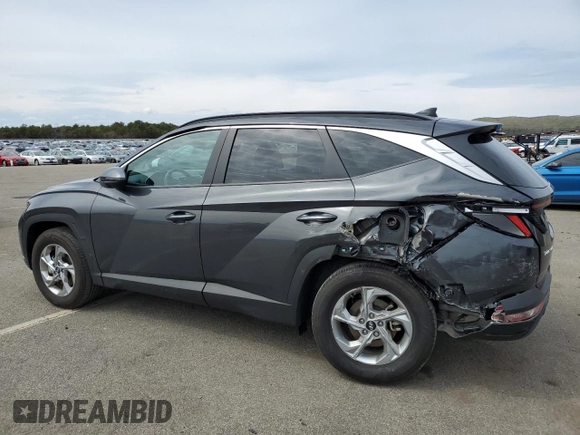 2023 Hyundai Tucson SEL with VIN 5NMJBCAE3PH261921, listed as a Copart auction lot 52076995 with 19,558 mi miles and Salvage Title. Bid and sale history available at DreamBid. Image 2.