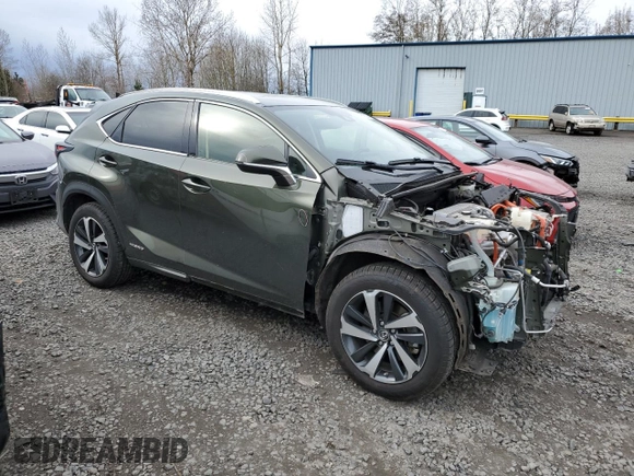 2021 Lexus NX 300h with VIN JTJGJRDZ9M2155016, listed as a Copart auction lot 49876235 with 43,870 mi miles and Salvage title. Bid and sale history available at DreamBid. Image 4.