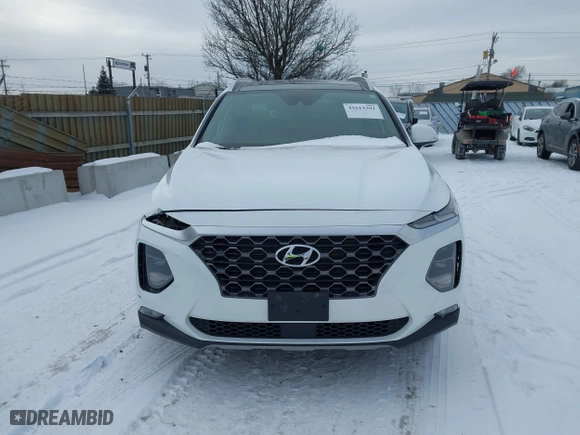 2020 Hyundai Santa Fe SEL with VIN 5NMS33AD7LH289661, listed as a IAAI auction lot 41613392 with 22,115 mi miles. Bid and sale history available at carsss.com. Image 12.