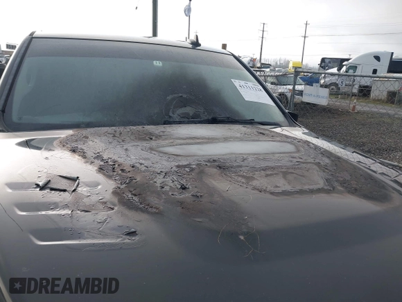 2017 Ram 2500 Big Horn with VIN 3C6UR5DL5HG658064, listed as a IAAI auction lot 41311228 with 1 mi miles. Bid and sale history available at carsss.com. Image 13.