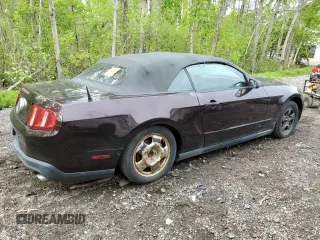 2011 Ford Mustang V6 with VIN 1ZVBP8EM8B5129301, listed as a Copart auction lot 56668885 with Not provided miles and Non repairable. Bid and sale history available at DreamBid. Image 3.