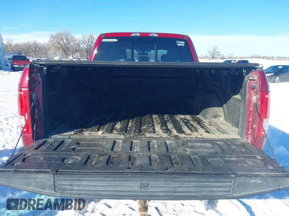 2016 Ford F-150 XLT with VIN 1FTFW1EG1GKD16719, listed as a IAAI auction lot 41494417 with 124,063 mi miles. Bid and sale history available at carsss.com. Image 17.