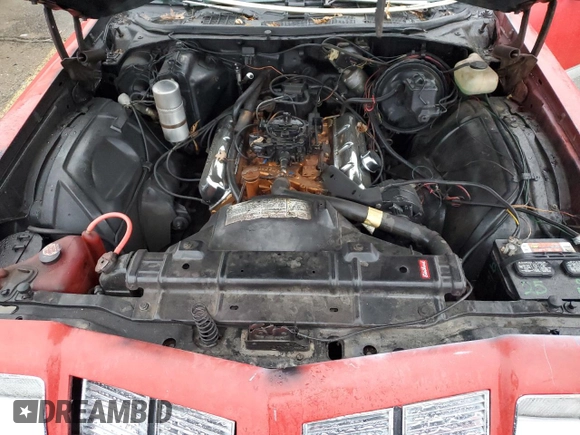 1977 Oldsmobile Cutlass with VIN 3G37R7R202893, listed as a Copart auction lot 86433114 with 21,252 mi miles and Clean Title. Bid and sale history available at DreamBid. Image 11.