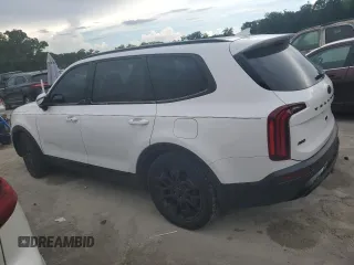 2021 Kia Telluride SX with VIN 5XYP5DHC1MG125563, listed as a Copart auction lot 61372995 with 83,358 mi miles and Salvage title. Bid and sale history available at DreamBid. Image 2.
