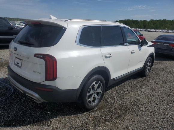 2020 Kia Telluride EX with VIN 5XYP34HC3LG041698, listed as a Copart auction lot 53478405 with 87,825 mi miles and Salvage title. Bid and sale history available at DreamBid. Image 3.
