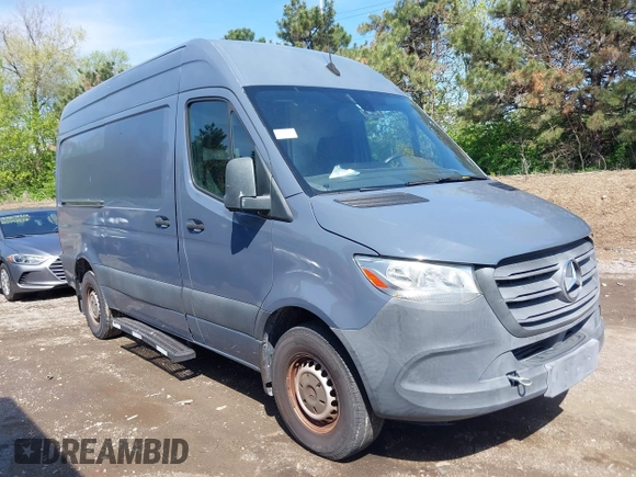 2019 Mercedes-Benz Sprinter Cargo with VIN WD4PF0CD6KP044032, listed as a IAAI auction lot 42103249 with 117,121 mi miles. Bid and sale history available at carsss.com. Image 1.