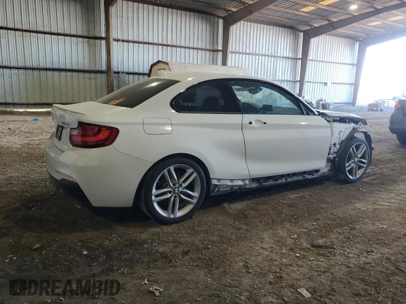 2016 BMW 2 Series 228i with VIN WBA1F9C58GV545002, listed as a Copart auction lot 42129794 with 110,846 mi miles. Bid and sale history available at carsss.com. Image 3.
