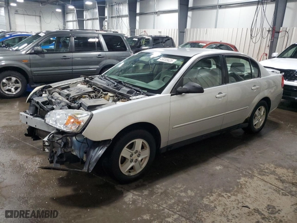 2005 Chevrolet Malibu LS with VIN 1G1ZT52855F309569, listed as a Copart auction lot 49055635 with 210,782 mi miles and Salvage Title. Bid and sale history available at carsss.com. Image 1.