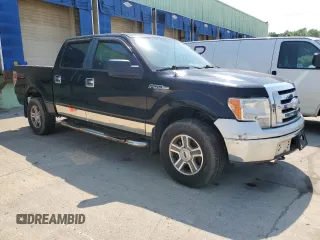 2009 Ford F-150 XL with VIN 1FTRW14809FA31805, listed as a Copart auction lot 59998575 with 199,115 mi miles and Clean title. Bid and sale history available at DreamBid. Image 4.