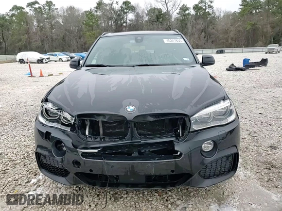 2016 BMW X5 xDrive50i with VIN 5UXKR6C55G0J81937, listed as a Copart auction lot 46347855 with 125,551 mi miles and Clean Title. Bid and sale history available at carsss.com. Image 14.