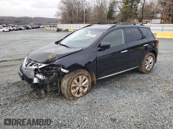 2013 Nissan Murano SV with VIN JN8AZ1MW0DW311207, listed as a Copart auction lot 44683965 with 115,766 mi miles and Salvage Title. Bid and sale history available at carsss.com. Image 1.