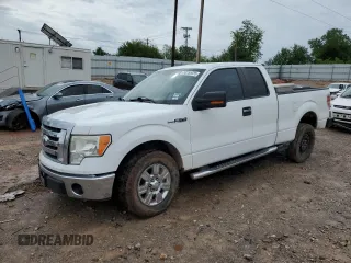 2009 Ford F-150 XLT with VIN 1FTRX12V99KB99620, listed as a Copart auction lot 53755035 with 113,171 mi miles and Salvage title. Bid and sale history available at DreamBid. Image 1.