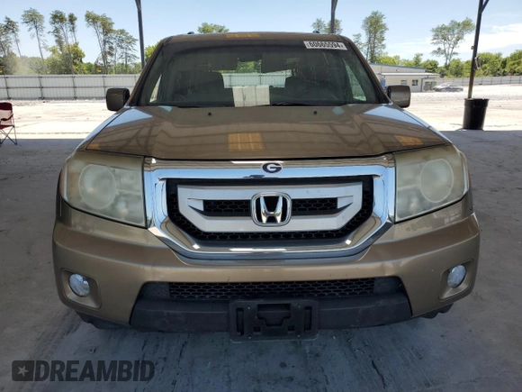 2010 Honda Pilot EX with VIN 5FNYF3H42AB002541, listed as a Copart auction lot 42300605 with Not Provided miles and Salvage Title. Bid and sale history available at carsss.com. Image 5.