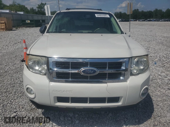 2010 Ford Escape XLT with VIN 1FMCU9D77AKB62528, listed as a Copart auction lot 64802605 with Not provided miles and Clean title. Bid and sale history available at DreamBid. Image 5.