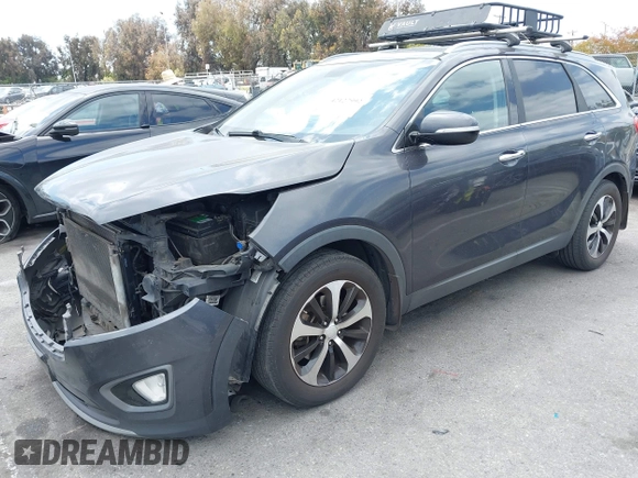 2016 Kia Sorento EX with VIN 5XYPH4A50GG160599, listed as a IAAI auction lot 42127992 with 301,716 mi miles. Bid and sale history available at carsss.com. Image 2.