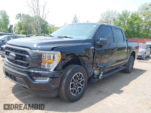 2023 Ford F-150 XL z VIN 1FTEW1EP6PKF23103, wystawiony jako IAAI lot #42390868 z przebiegiem 15 149 mil mil oraz . Historia ofert i sprzedaży dostępna na DreamBid. Obrazek 20.
