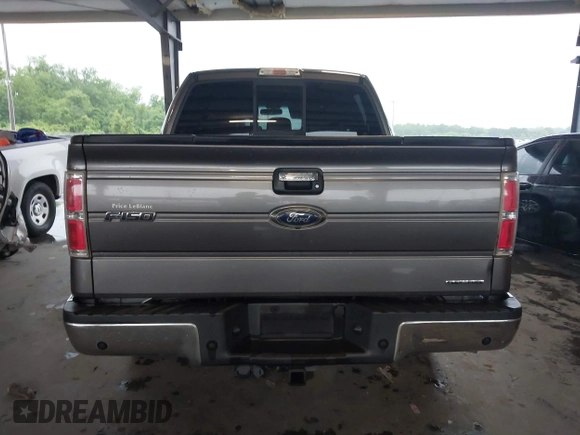 2014 Ford F-150 XL with VIN 1FTFW1CF3EFA24117, listed as a IAAI auction lot 42205670 with 193,653 mi miles and . Bid and sale history available at DreamBid. Image 16.