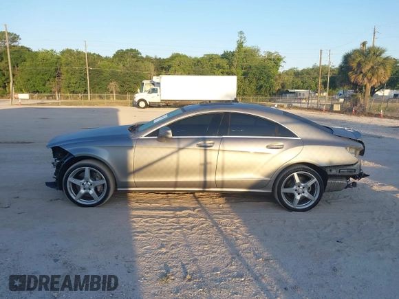 2013 Mercedes-Benz CLS-Class CLS 550 with VIN WDDLJ7DB7DA072530, listed as a IAAI auction lot 42065879 with 123,254 mi miles. Bid and sale history available at carsss.com. Image 14.