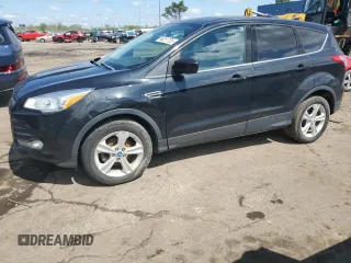 2013 Ford Escape SE with VIN 1FMCU0GX4DUC74025, listed as a Copart auction lot 56251735 with 248,245 mi miles and Clean Title. Bid and sale history available at DreamBid. Image 1.