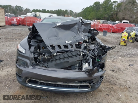 2017 Jeep Cherokee Limited with VIN 1C4PJMDB2HW562277, listed as a IAAI auction lot 41800310 with Not Provided miles and . Bid and sale history available at DreamBid. Image 12.