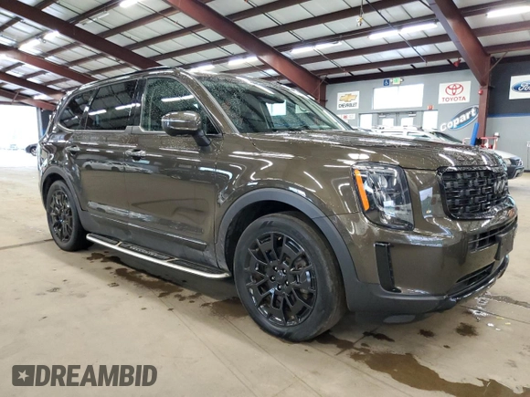 2022 Kia Telluride EX with VIN 5XYP3DHCXNG260175, listed as a Copart auction lot 61352405 with 63,025 mi miles and Clean title. Bid and sale history available at DreamBid. Image 4.