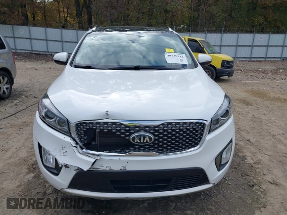 2017 Kia Sorento SX z VIN 5XYPK4A58HG226884, wystawiony jako IAAI lot #40738284 z przebiegiem 137 599 mil mil oraz . Historia ofert i sprzedaży dostępna na DreamBid. Obrazek 12.