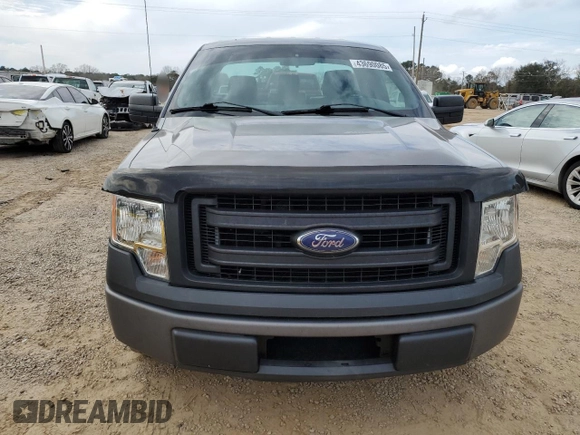 2013 Ford F-150 XL with VIN 1FTMF1CM8DFB50199, listed as a Copart auction lot 43690085 with 240,129 mi miles and Salvage Title. Bid and sale history available at carsss.com. Image 5.