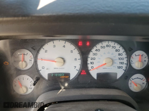 2002 Dodge 1500 with VIN 1D7HA16K42J244560, listed as a Copart auction lot 48218505 with 218,303 mi miles and Salvage Title. Bid and sale history available at DreamBid. Image 9.