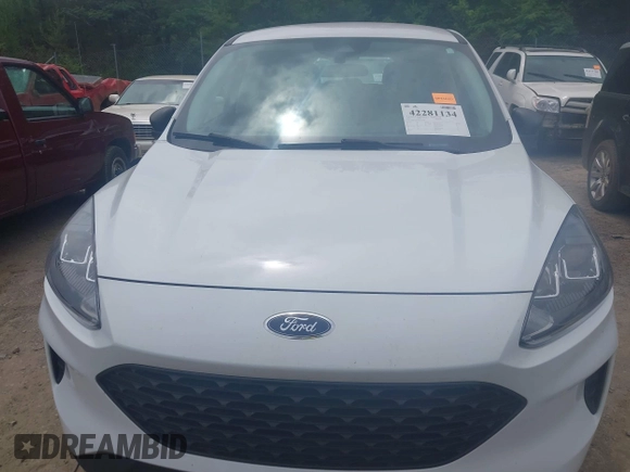 2021 Ford Escape S with VIN 1FMCU0F62MUA77668, listed as a IAAI auction lot 42281134 with 30,625 mi miles and . Bid and sale history available at DreamBid. Image 6.