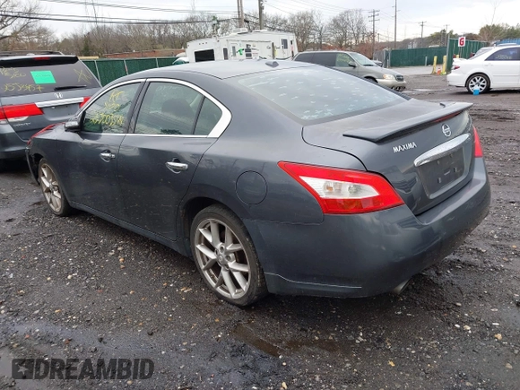 2010 Nissan Maxima 3.5 SV with VIN 1N4AA5AP2AC813162, listed as a IAAI auction lot 41966140 with Not Provided miles. Bid and sale history available at carsss.com. Image 3.