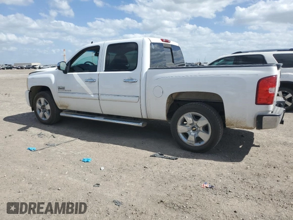 2011 Chevrolet Silverado 1500 LT with VIN 3GCPCSE04BG249295, listed as a Copart auction lot 49554345 with 242,938 mi miles and Salvage Title. Bid and sale history available at DreamBid. Image 2.