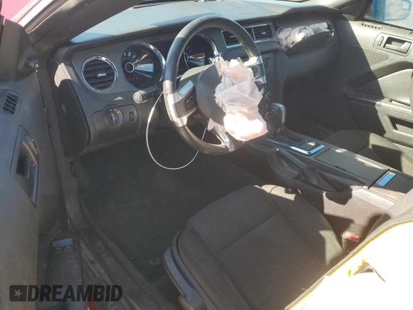 2014 Ford Mustang V6 with VIN 1ZVBP8AM0E5204583, listed as a Copart auction lot 48427935 with 114,307 mi miles and Salvage Title. Bid and sale history available at carsss.com. Image 8.