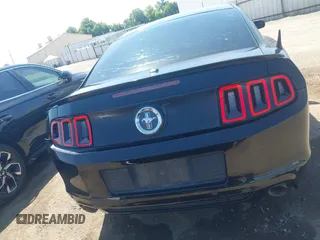 2013 Ford Mustang V6 z VIN 1ZVBP8AM2D5259728, wystawiony jako IAAI lot #42478522 z przebiegiem 179 685 mil mil oraz . Historia ofert i sprzedaży dostępna na DreamBid. Obrazek 16.