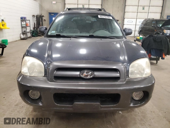 2006 Hyundai Santa Fe GLS with VIN KM8SC13D56U097262, listed as a Copart auction lot 46376785 with 164,382 mi miles and Clean Title. Bid and sale history available at carsss.com. Image 5.