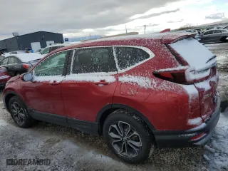 2020 Honda CR-V EX-L with VIN 5J6RW2H85LL015411, listed as a Copart auction lot 45517295 with 55,039 mi miles and Salvage Title. Bid and sale history available at carsss.com. Image 2.