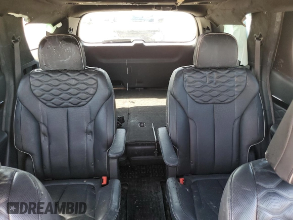 2020 Hyundai Palisade Limited with VIN KM8R5DHE9LU102289, listed as a Copart auction lot 54194415 with 98,282 mi miles and Salvage title. Bid and sale history available at DreamBid. Image 10.