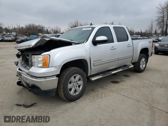 2013 GMC Sierra 1500 SLT with VIN 3GTP2WE75DG275821, listed as a Copart auction lot 43206415 with 141,117 mi miles and Salvage title. Bid and sale history available at DreamBid. Image 1.