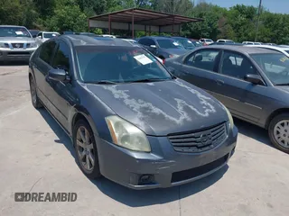 2008 Nissan Maxima SE with VIN 1N4BA41E28C833564, listed as a IAAI auction lot 42404949 with Not provided miles and . Bid and sale history available at DreamBid. Image 1.