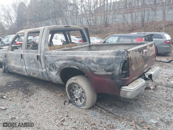 2008 Ford Super Duty F-250 SRW XL with VIN 1FTSW21R78EC10917, listed as a IAAI auction lot 41529713 with 123,554 mi miles. Bid and sale history available at carsss.com. Image 3.