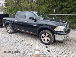 2009 Dodge 1500 SLT with VIN 1D3HV13T19S702739, listed as a Copart auction lot 55923585 with 125,251 mi miles and Clean Title. Bid and sale history available at carsss.com. Image 4.