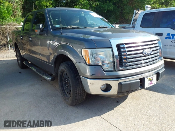 2010 Ford F-150 XL with VIN 1FTFW1CV1AKB24029, listed as a IAAI auction lot 42189799 with Not Provided miles. Bid and sale history available at carsss.com. Image 1.