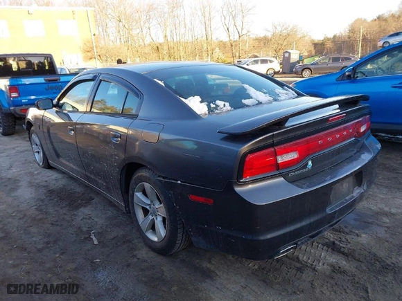 2013 Dodge Charger SE with VIN 2C3CDXBG8DH742561, listed as a IAAI auction lot 41618282 with NaN miles. Bid and sale history available at carsss.com. Image 3.