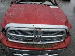 2010 Dodge Ram 1500 SLT with VIN 1D7RV1CT9AS133534, listed as a Copart auction lot 44978955 with 0 mi miles and Salvage Title. Bid and sale history available at carsss.com. Image 12.