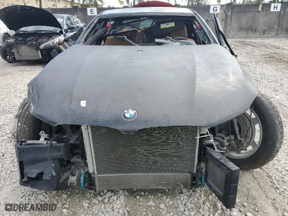 2017 BMW 7 Series 750i with VIN WBA7F0C34HGM22081, listed as a Copart auction lot 42566025 with 0 mi miles and Non Repairable. Bid and sale history available at carsss.com. Image 5.
