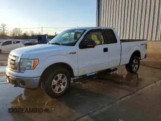 2009 Ford F-150 XL with VIN 1FTPX14V69FA23346, listed as a Copart auction lot 46318515 with 217,771 mi miles and Salvage Title. Bid and sale history available at carsss.com. Image 1.