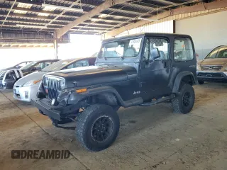 1994 Jeep Wrangler S with VIN 1J4FY19P9RP425255, listed as a Copart auction lot 41884425 with 177,089 mi miles and Salvage Title. Bid and sale history available at carsss.com. Image 1.